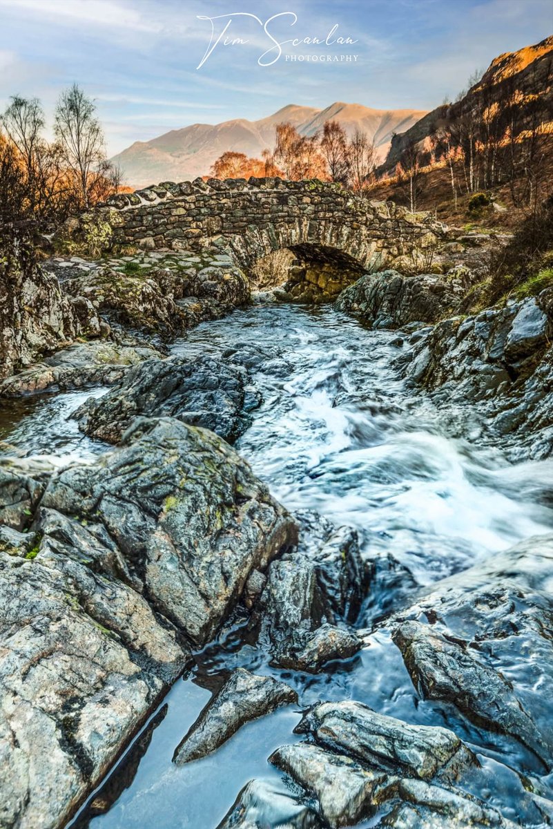 Tim Scanlan tweet media