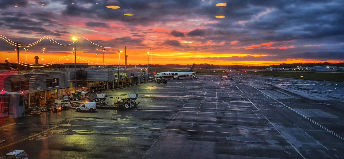 Les Pigg tweet media