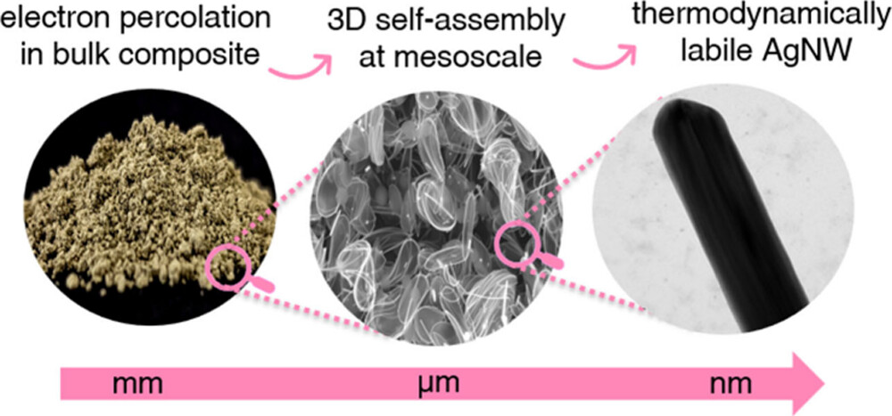 CRC 1585 MultiTrans tweet media