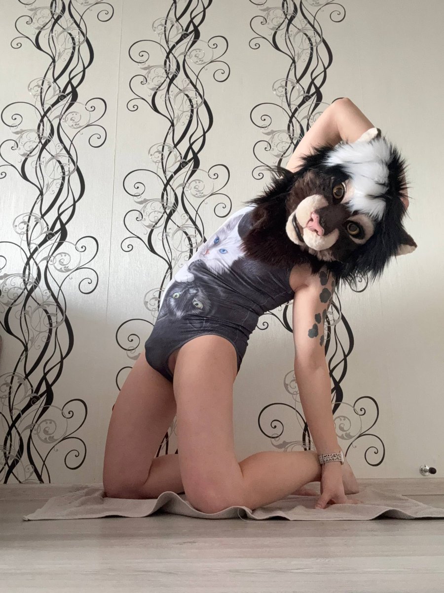 SnowyKittyAD1's tweet photo. Some yoga. Check my TG channel for more :3 https://t.co/7vpIlqGvaE  #femboy #furry #fursuit #murrsuit #chastity #snowykitty #spottcat https://t.co/uh5geLEgJJ