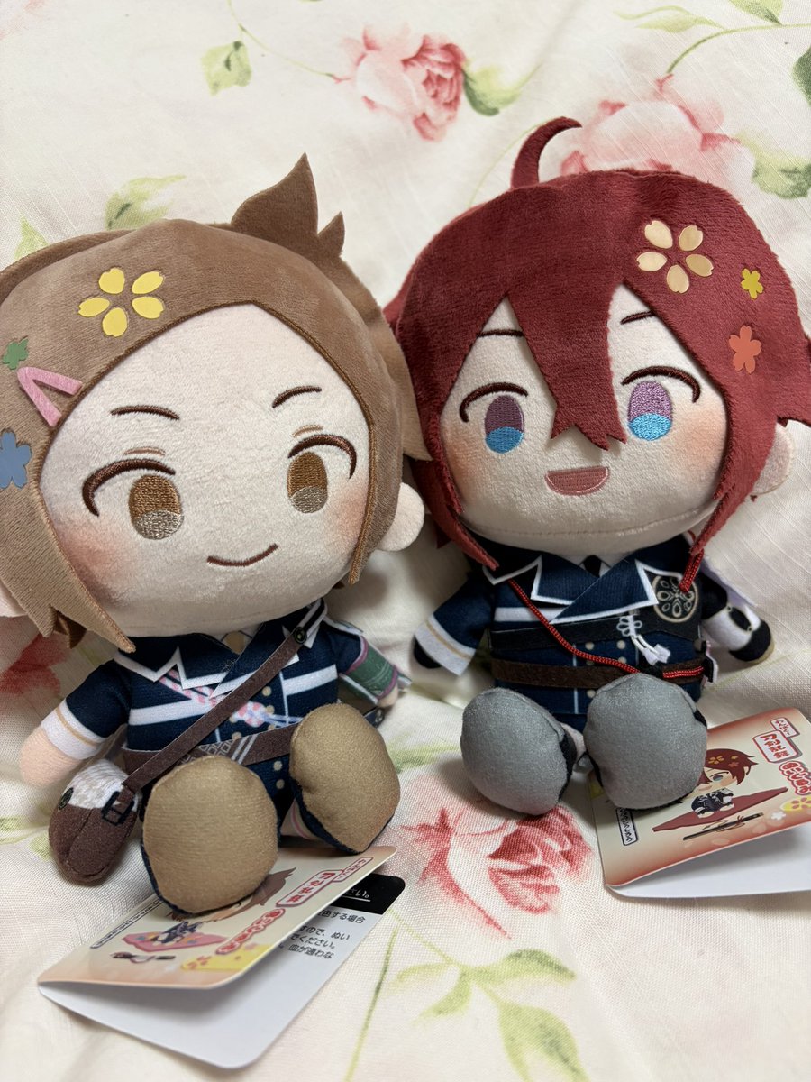 kanade1018_5995's tweet photo. やっと届いた包丁くんと信濃くん！！！！
これでわんぱくほちょ連れた包丁ができちゃうってこと…！？ https://t.co/feNUt0eyn7