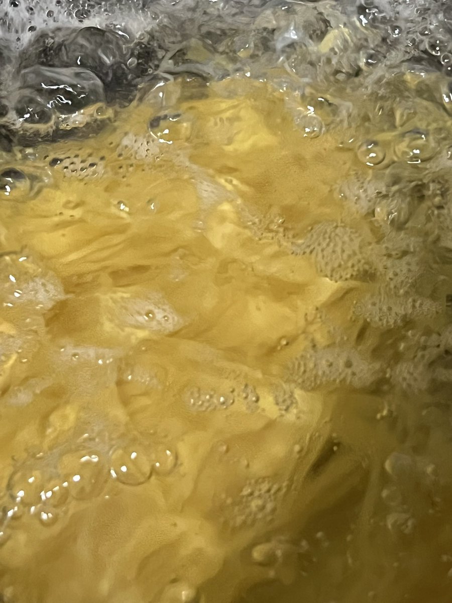 yomiplush's tweet photo. Sketti #TwitterToday https://t.co/MVcEhlWW26