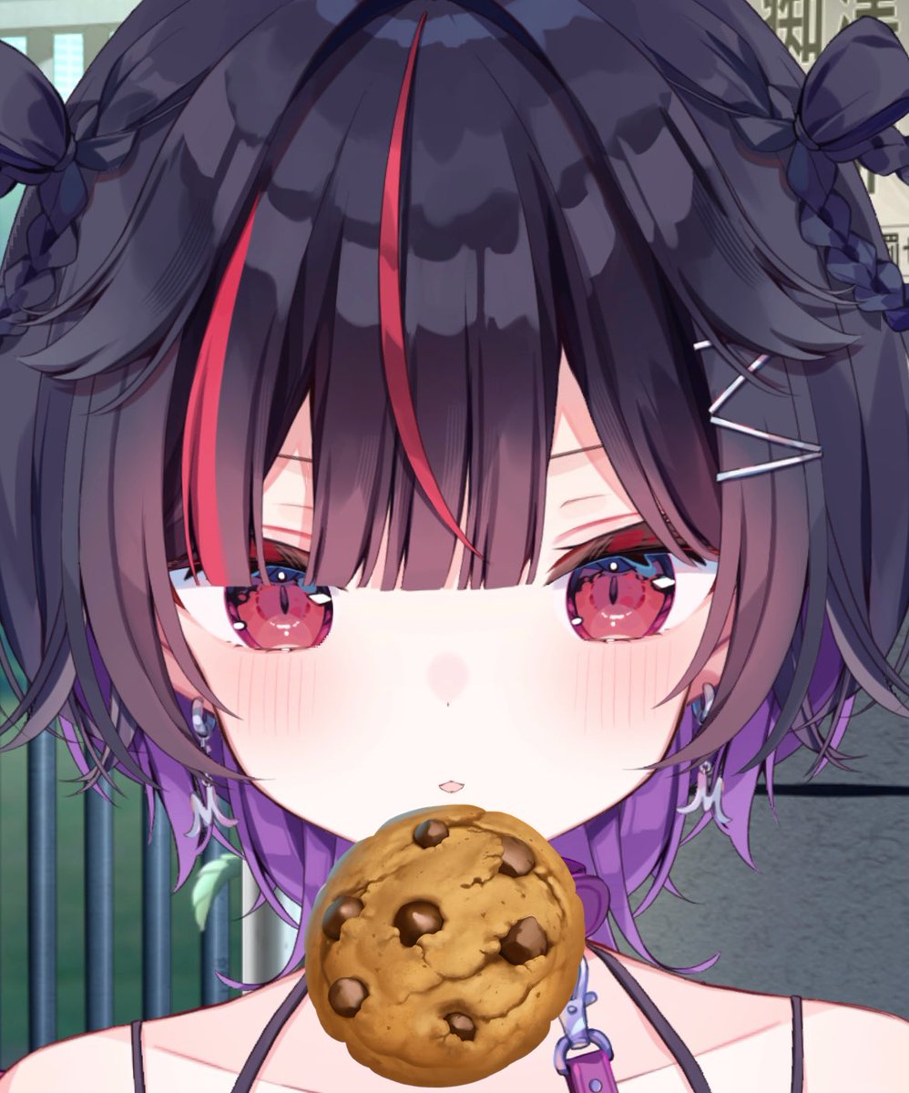 食前にカントリーマアムを食べようとしたがチョコは食前に食べたらどうちゃらこうちゃらでよくないぞ！て動画を見たのを思い出しちゃんとご飯を食べてからカントリーマアムを食べている犬束しばり