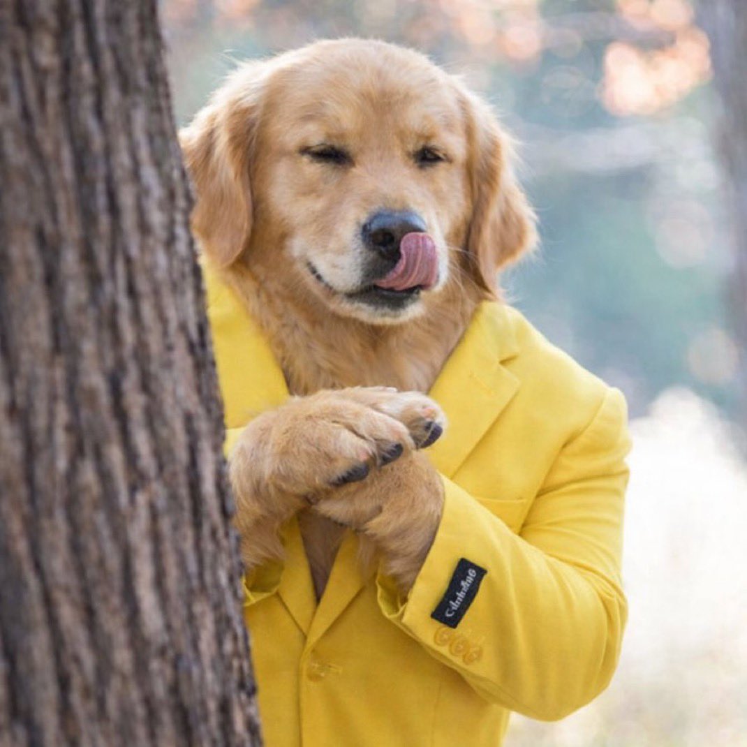 <a href="/stekisteks/">///Steki🧲</a> BP chart is marinating well