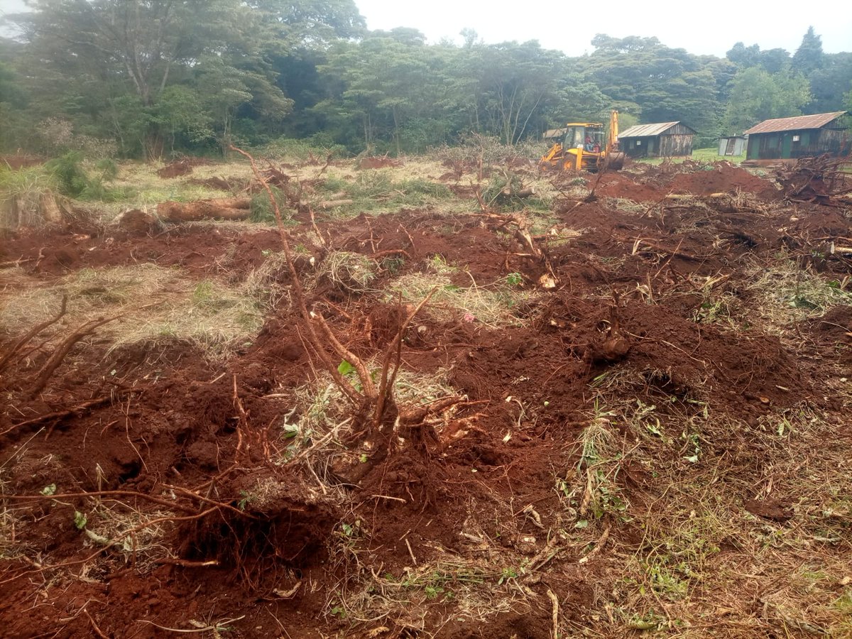 karurafriends's tweet photo. We need an immediate public discussion on Kenya Forest Service plans to house @NYS_Ke teams inside Karura forest. KFS  machinery is felling trees and preparing ground at Rangers Village without any consultation with #FriendsofKarura - recognized co-managers of  #KaruraForest We can’t let Karura become another "done deal”.  #SaveKarura  #ForestAlert