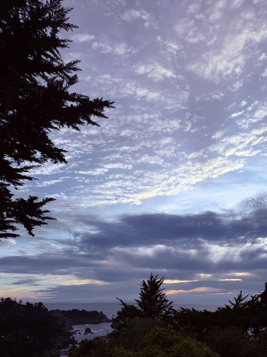 mylifenumber9's tweet photo. There is so much love right before our eyes.  #NatureLovers #NaturePhotography https://t.co/xzMuLUcZsA