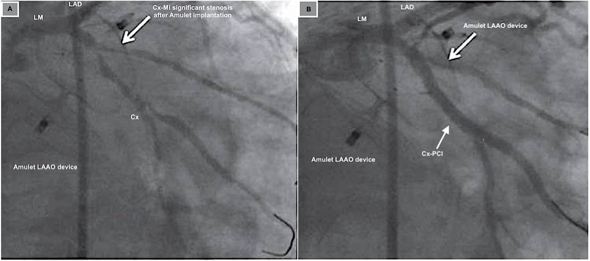 Twinkle xu tweet media