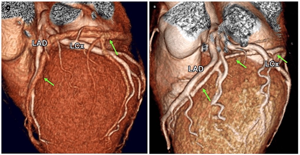 Twinkle xu tweet media