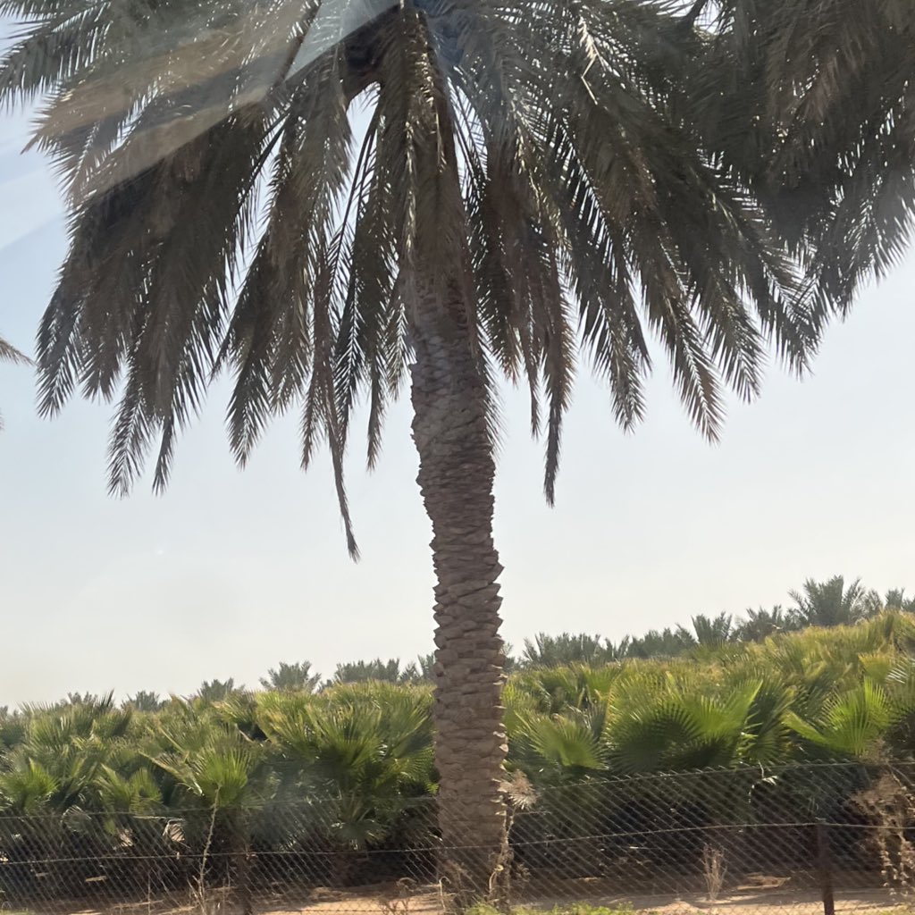 Out of context QU tweet media