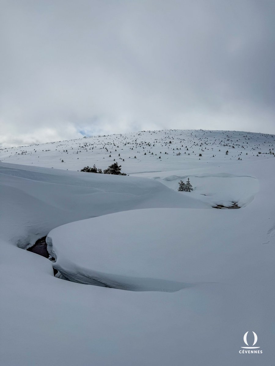 Les Cévennes d’Oraterra tweet media