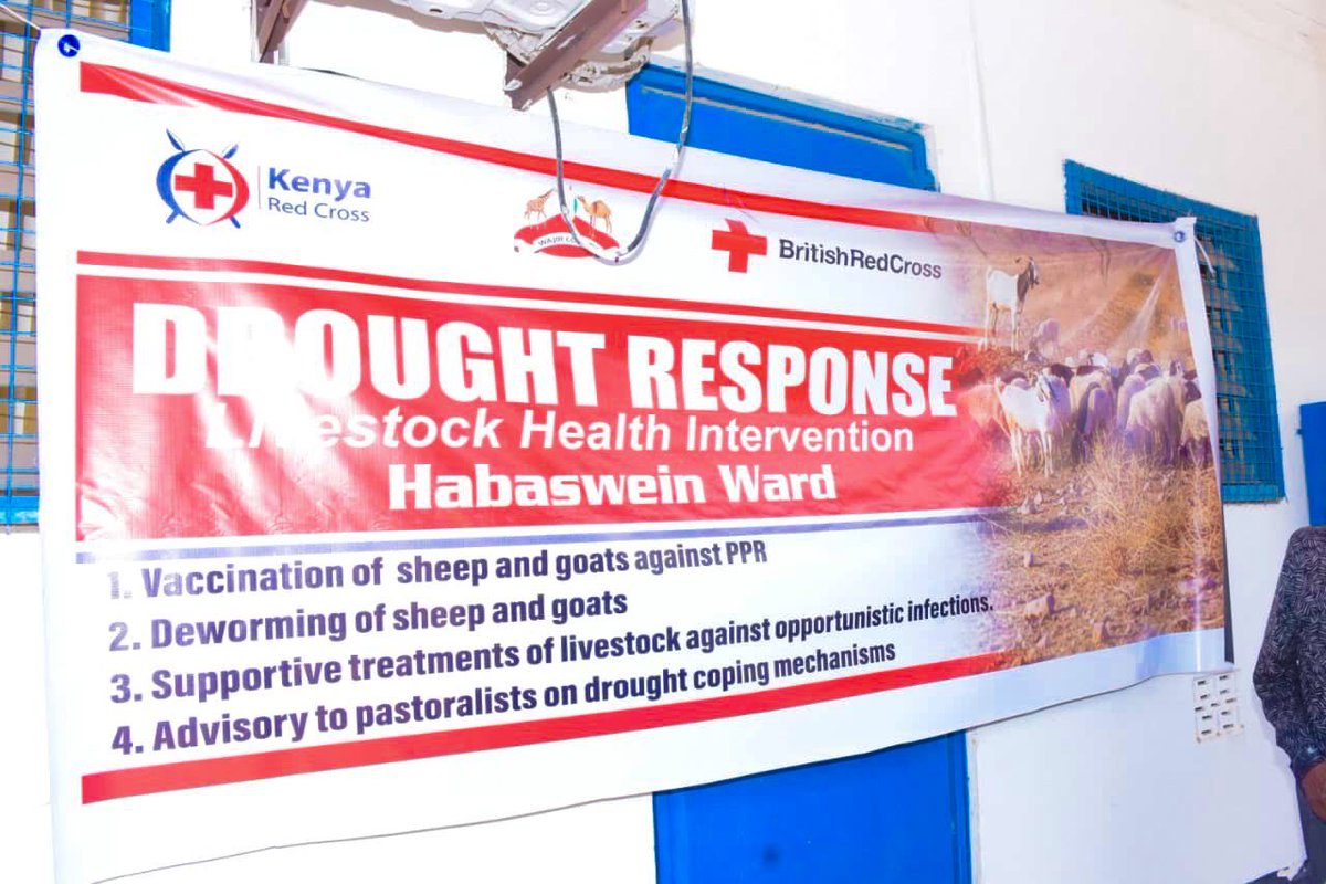 KenyaRedCross's tweet photo. In Habaswein, Wajir, a livestock health intervention has been rolled out to protect sheep and goats affected by the ongoing drought.

The initiative is being implemented by the Kenya Red Cross in collaboration with the Wajir County Department of Veterinary Services, thanks to support from the @BritishRedCross.

The exercise includes vaccination against Peste des Petits Ruminants (PPR), deworming, treatment of infections and advisory support to pastoralists, safeguarding livestock and the livelihoods that depend on them.