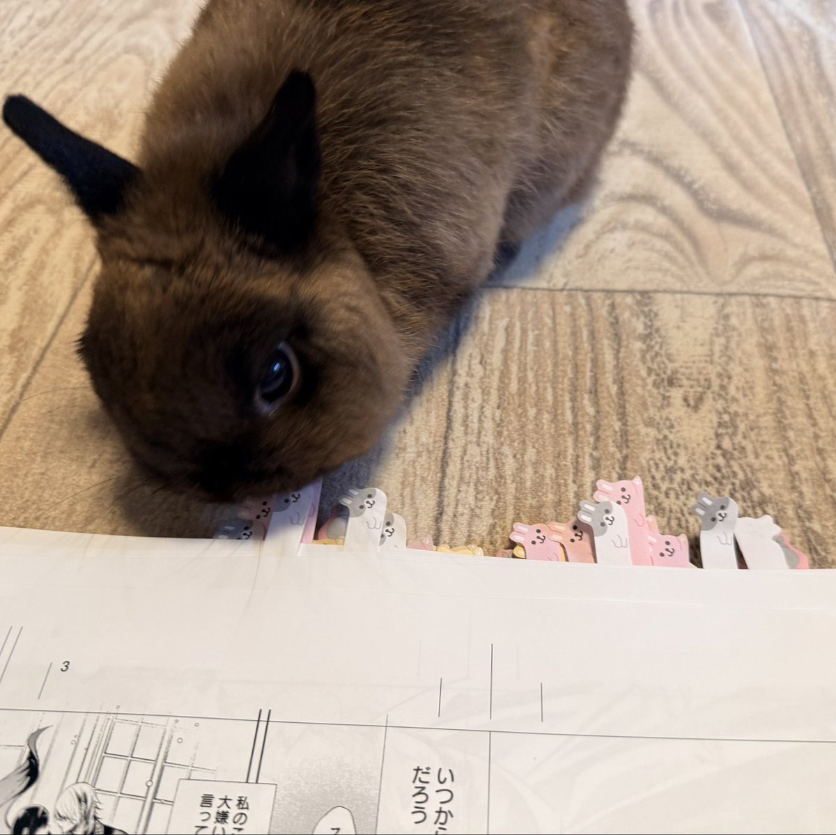 ryu_sugahara's tweet photo. 間違い探しのような修正ばかりだけど
頑張ったー！
まだ作業終わってないけれど
コミックスも
楽しんでもらえますように✨✨ https://t.co/NwE0szBIvg