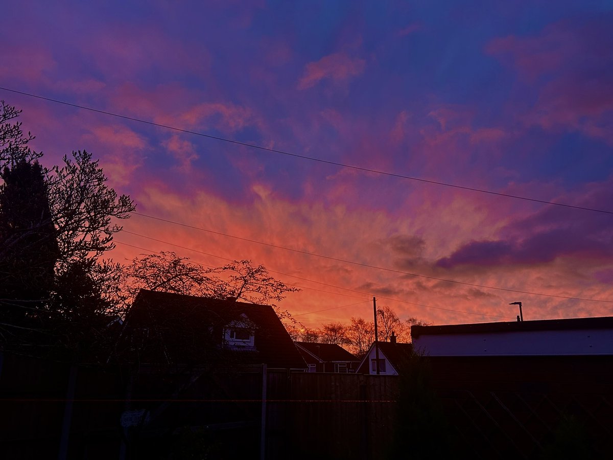 Life in Photos by Jen 📸 tweet media