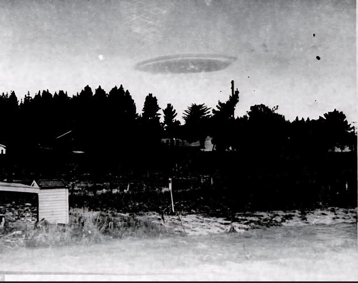 UFO Stories 🛸👽 tweet media