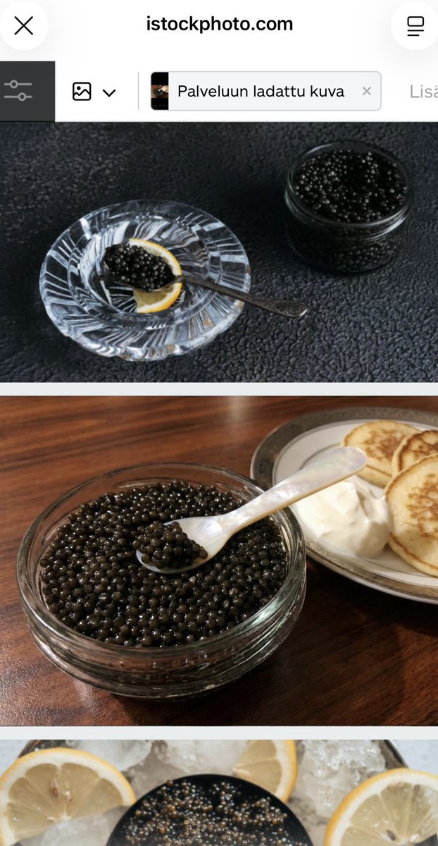 نسیم دخترک کُرد tweet media