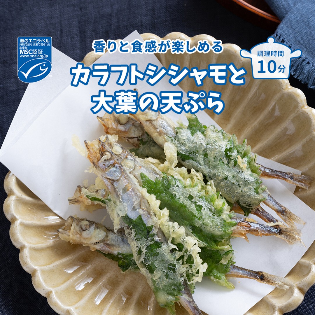 MSCジャパン tweet media