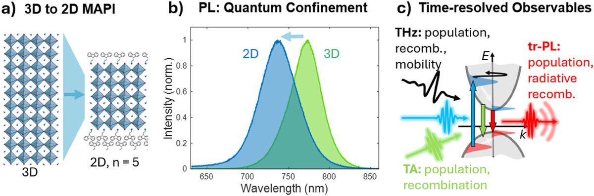 CRC 1585 MultiTrans tweet media