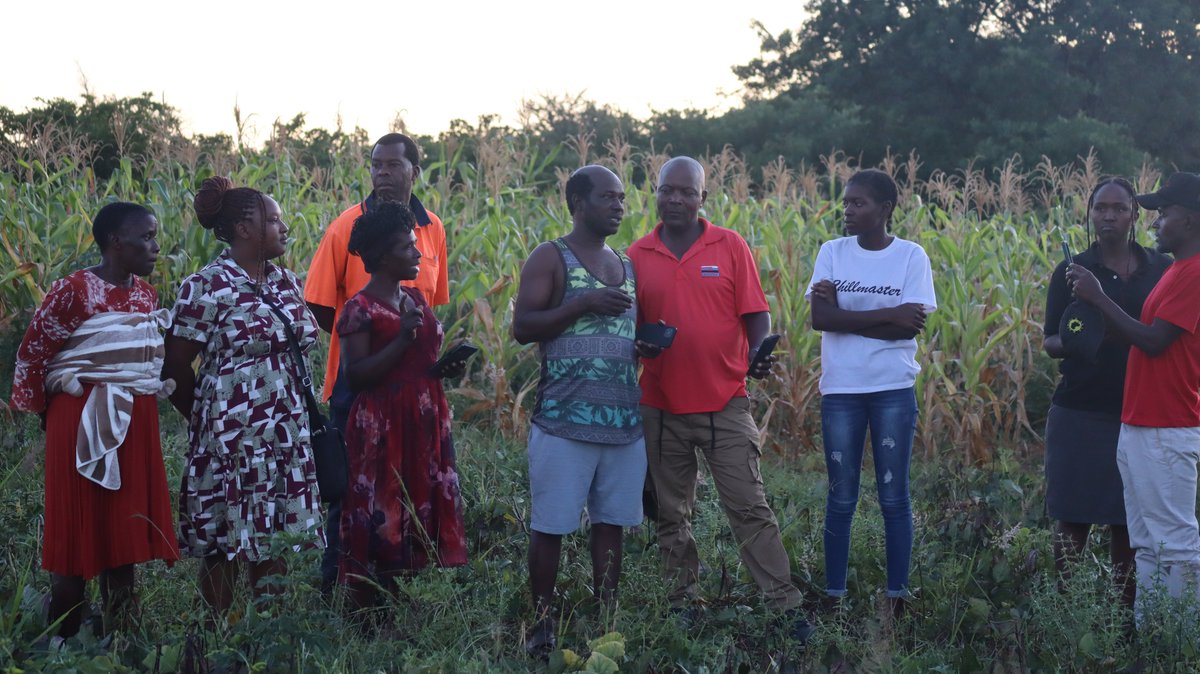 TSURO Trust tweet media