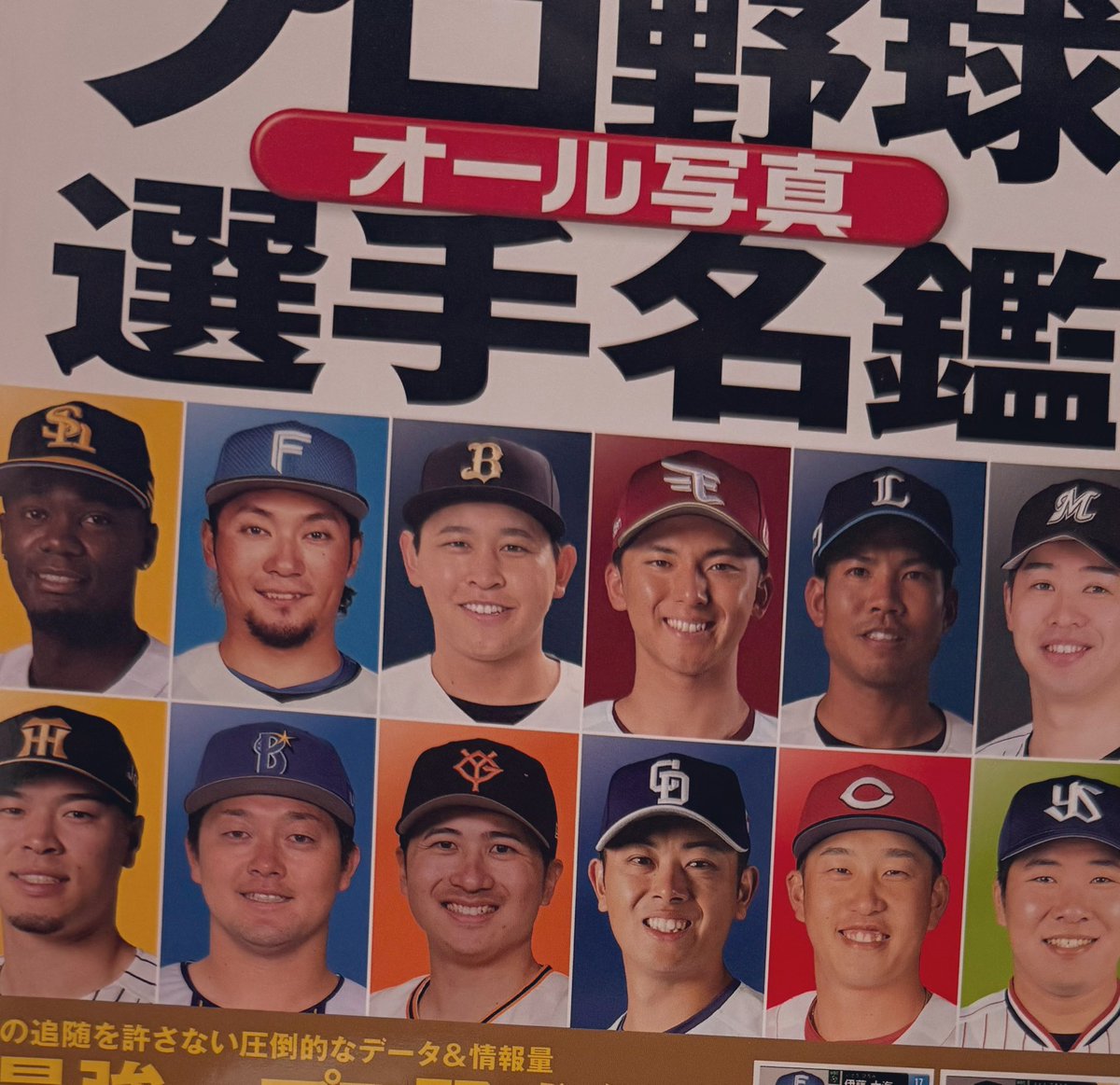 いつも交流戦の時にセリーグが分からなくて非常に使うので選手名鑑買っ