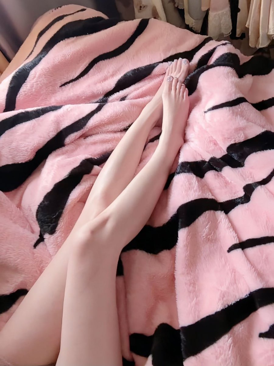 小鱼儿 tweet media