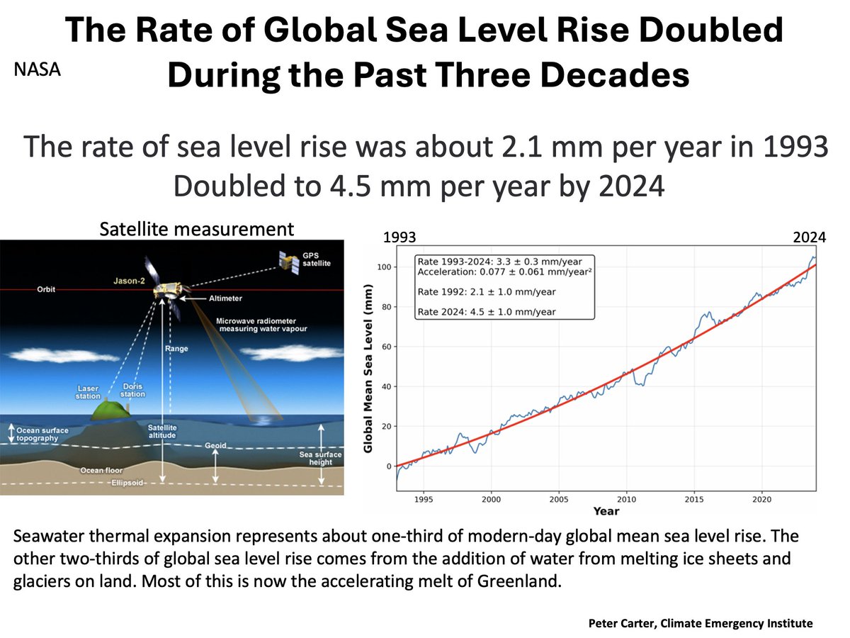 Peter D Carter tweet media