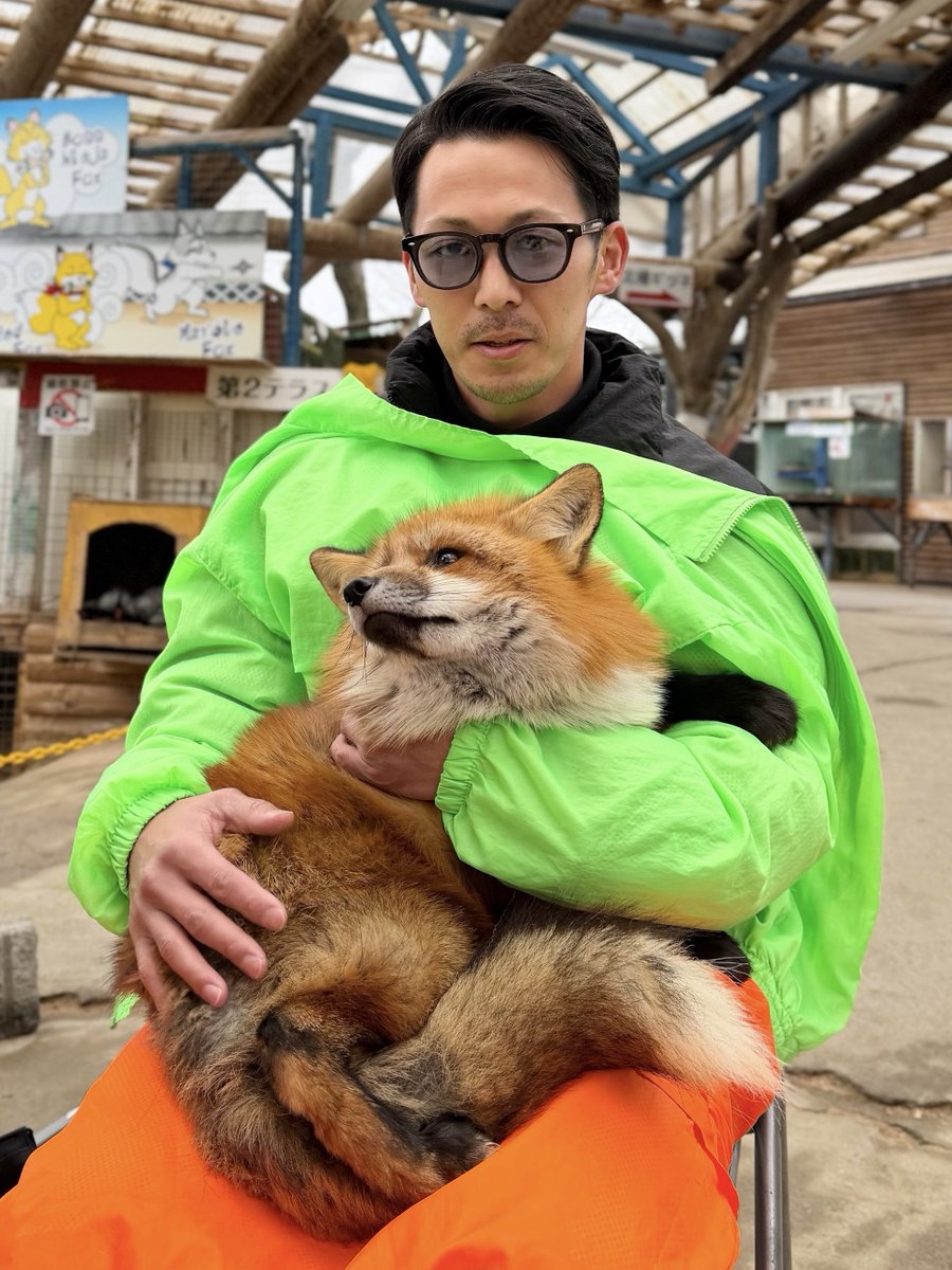 キツネに癒されてきた🦊