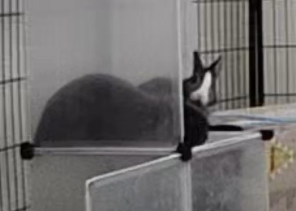 no wife… and then wife :)