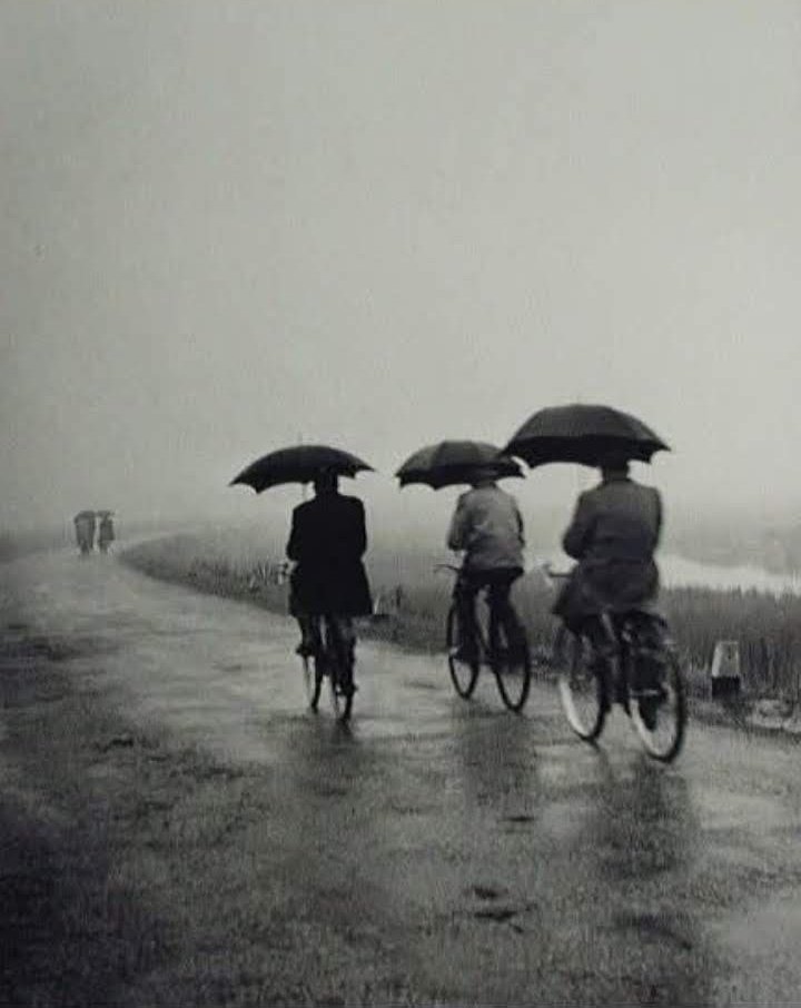 Lucilla Giannotti🧜 tweet media