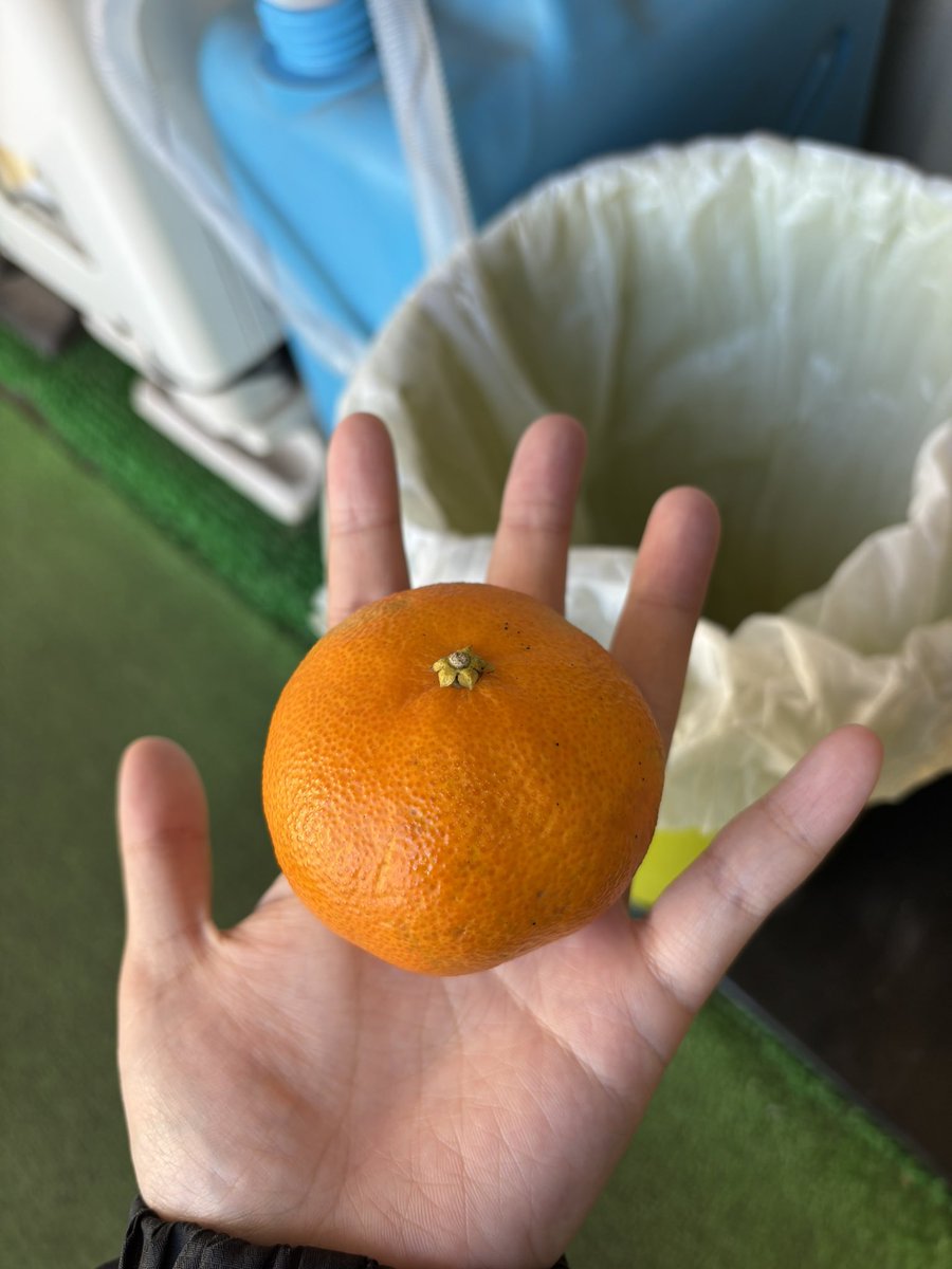 menmen0421's tweet photo. まさかの二個目 https://t.co/VOcpIJ8FsC