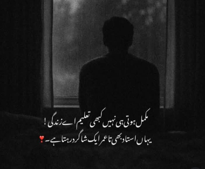 دنیا وہ کتاب ہے جو کبھی نہیں پڑھی جا سکتی 
زمانہ وہ استاد ہے جو سب کچھ سکھا دیتا ہے 
#قومی_زبان