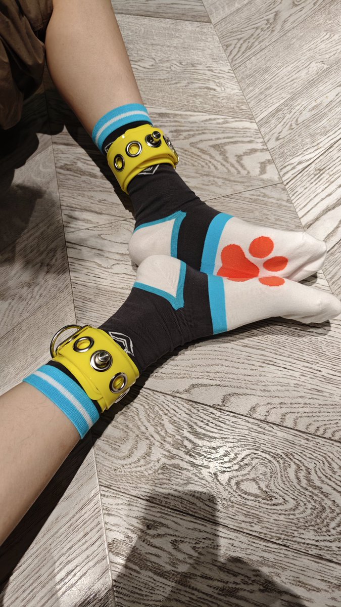 羊羊羊开泰 tweet media