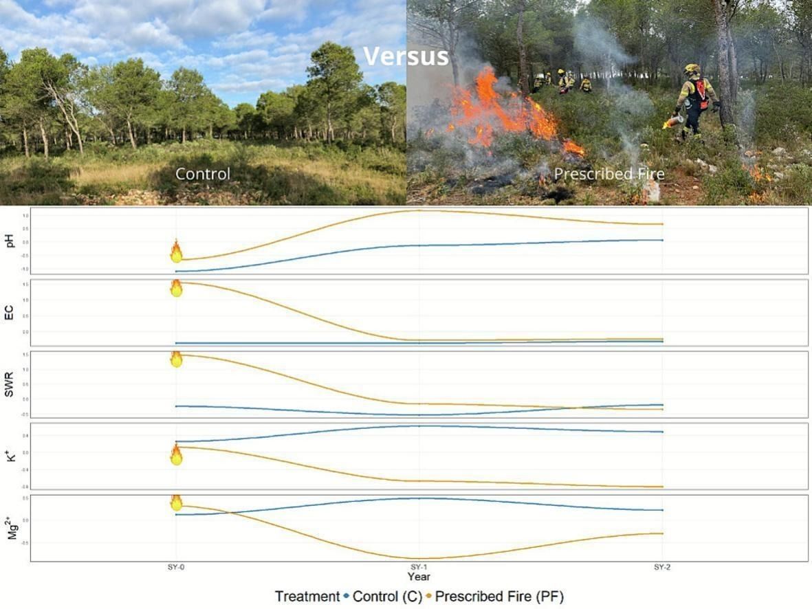 Geoderma - the global #OA journal of soil science tweet media