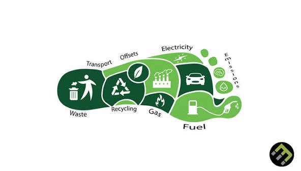 Eco365 Sustainability Initiative tweet media