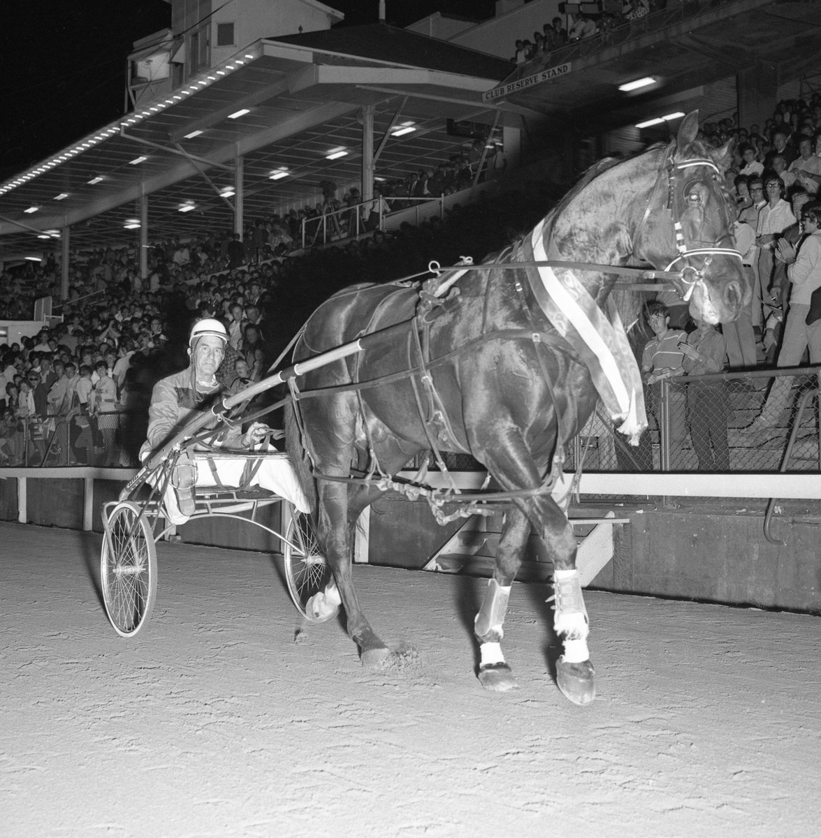 Club Menangle tweet media