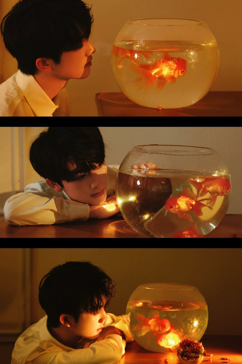 拍照的路甲（黑化版） tweet media