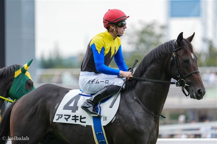 【赤い鳥の恩返し】
今週末を最後に引退する名伯楽・国枝栄調教師は、土曜7頭、日曜7頭で計14頭を出走させます。

ラストは日曜中山9Rバードウォッチャー。管理した三冠牝馬アパパネの産駒が最後の出走となります。
#国枝栄 #アパパネ 
keibalab.jp/db/trainer/003…