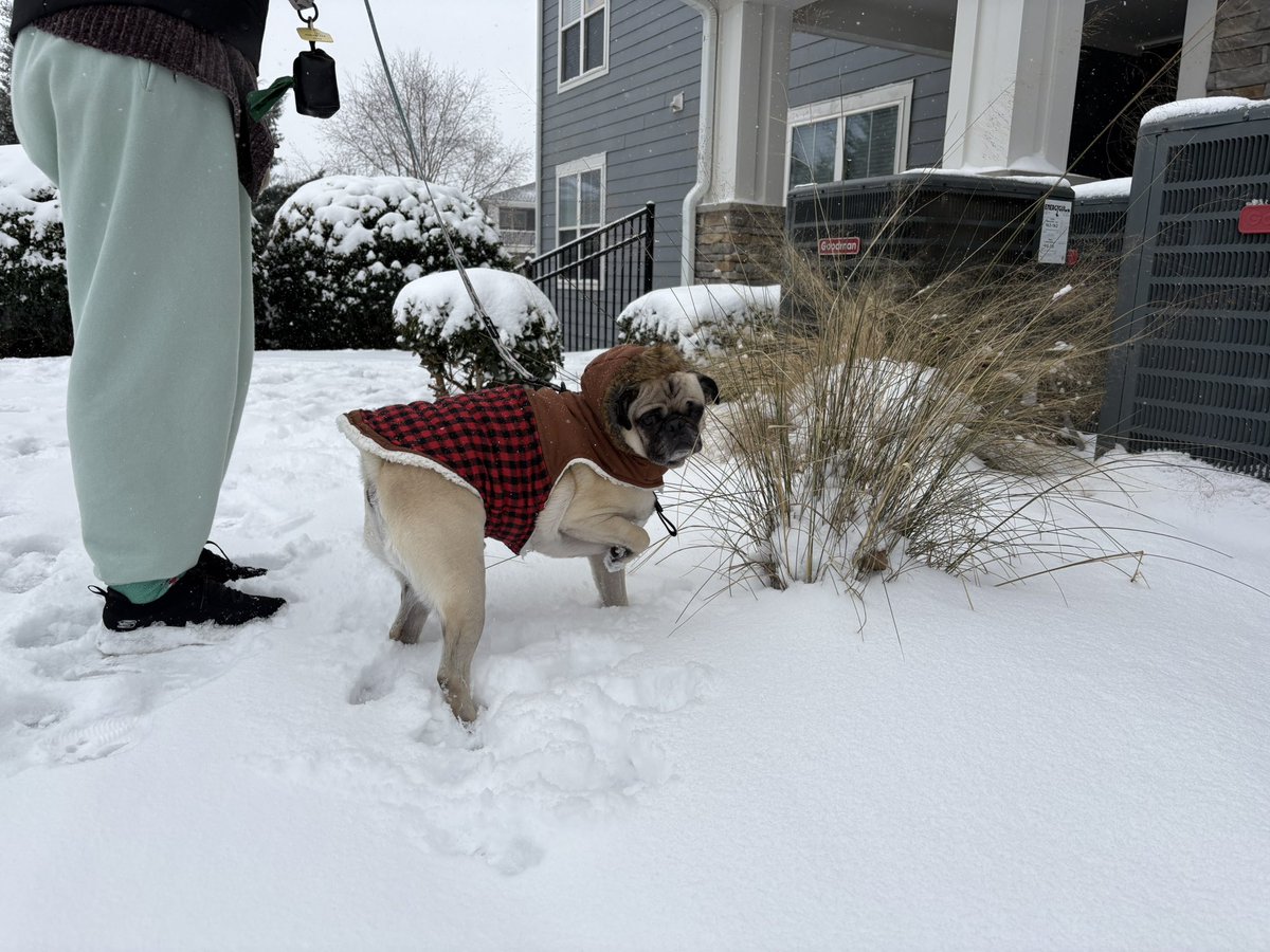 Brian Ballance tweet media