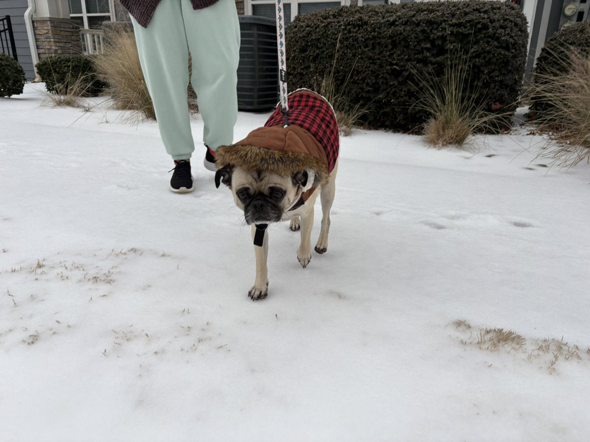 Brian Ballance tweet media