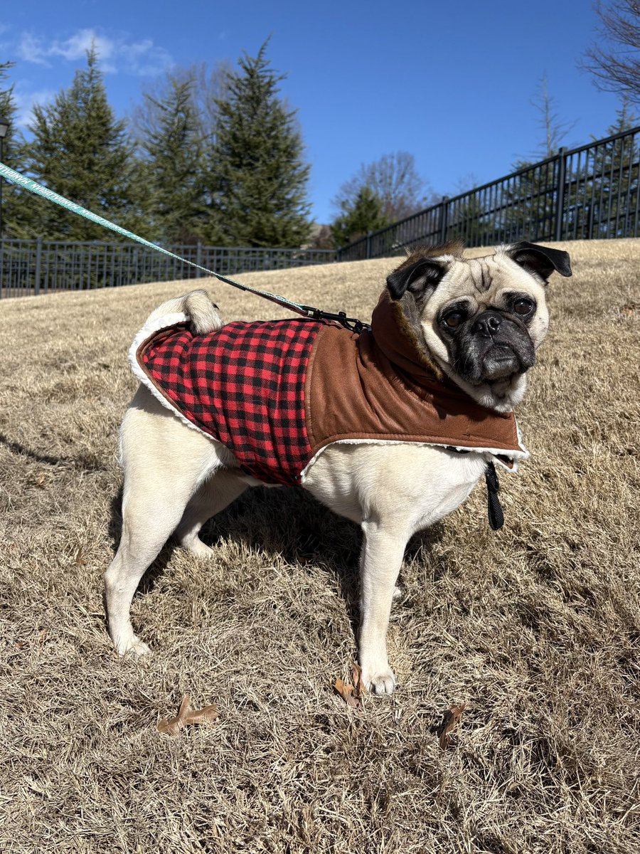 Brian Ballance tweet media