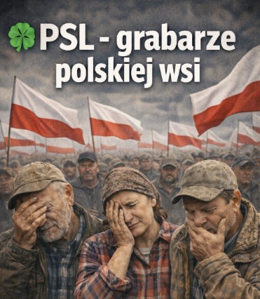 Tadeusz (@tadeusz46071539) on Twitter photo 