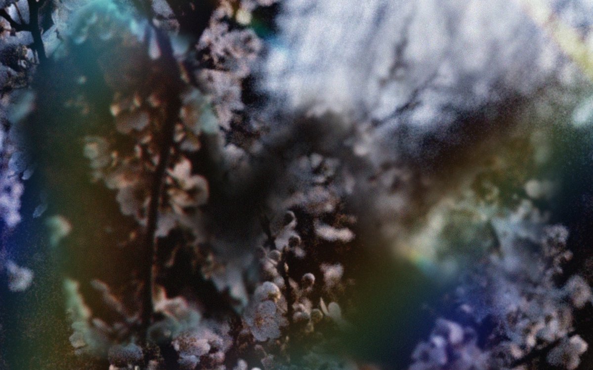 aria ☰ ~ tweet media