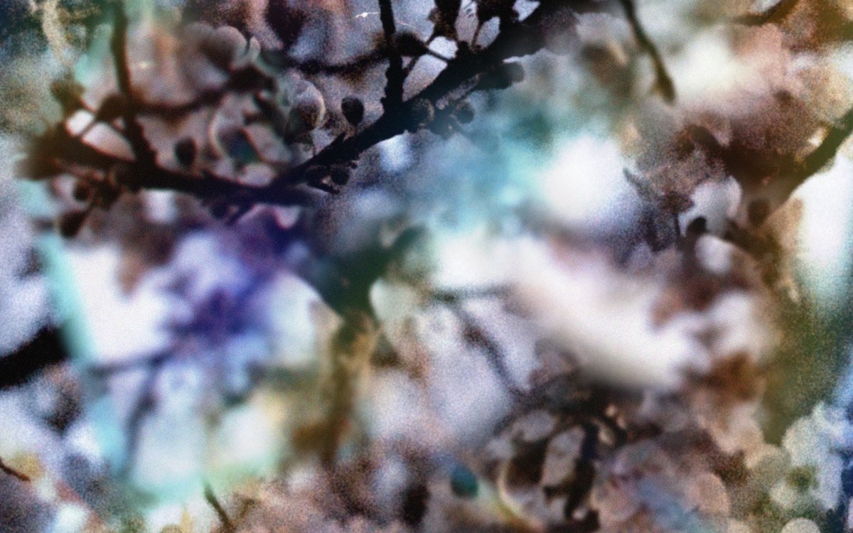 aria ☰ ~ tweet media