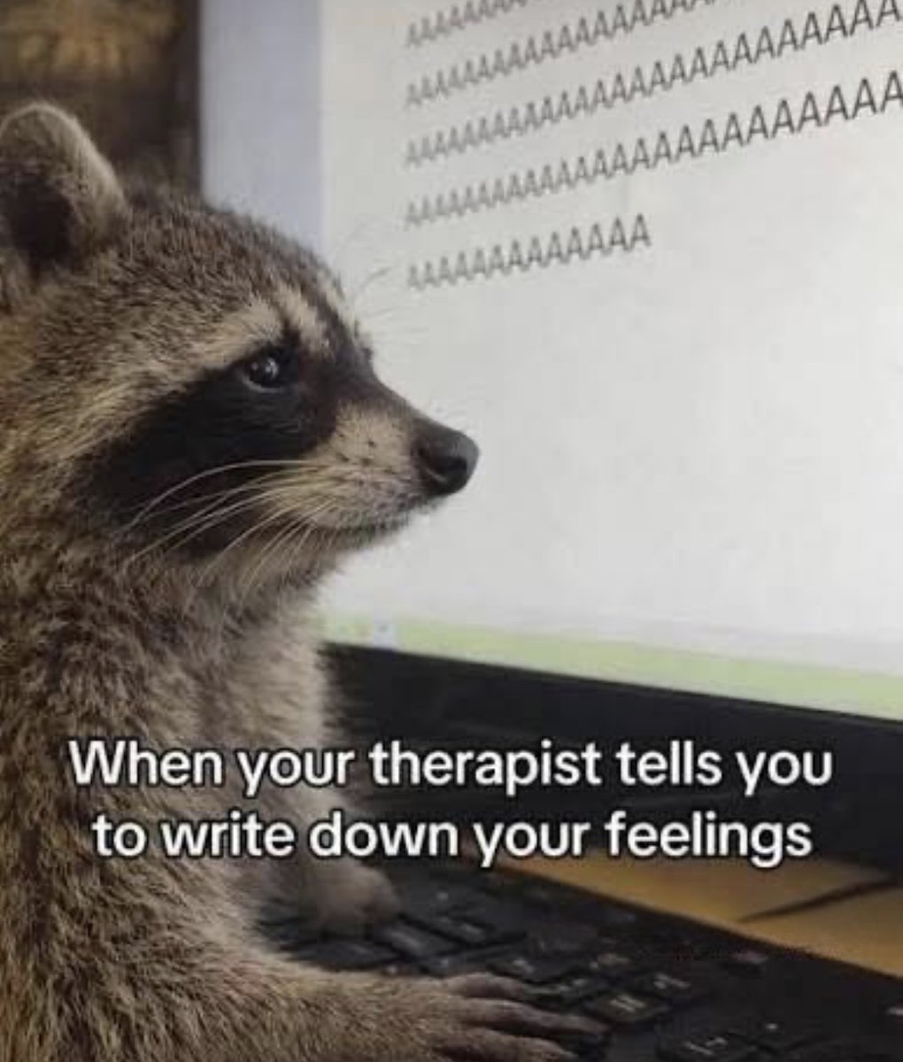 Respectful Memes (@respectfulmemes) on Twitter photo 