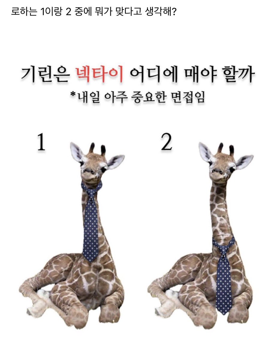 It's 치즈.. tweet media