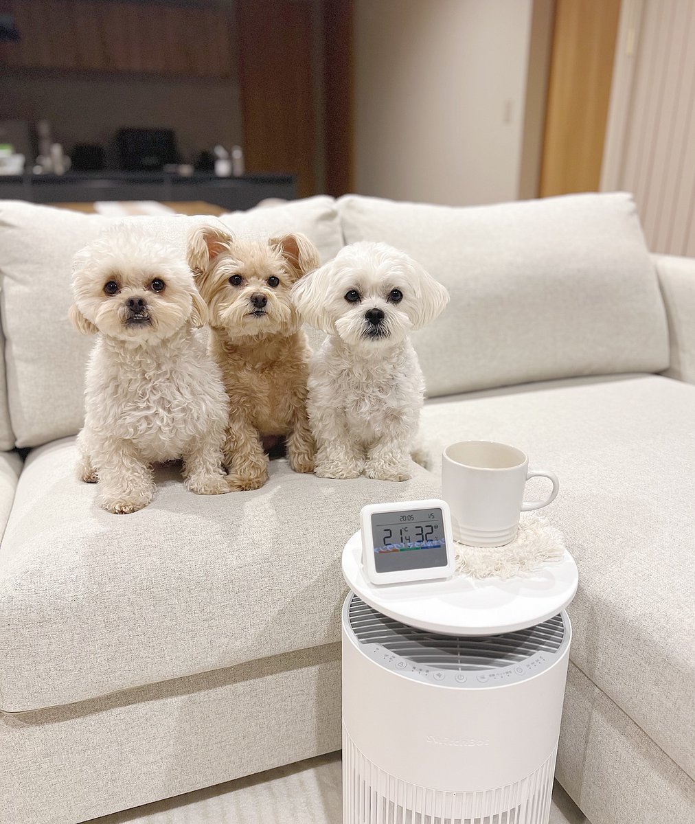 SwitchBot Japan（スイッチボット） (@SwitchBotJapan) / Posts / X