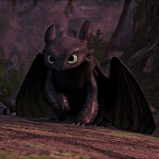 yana🍨 tweet media