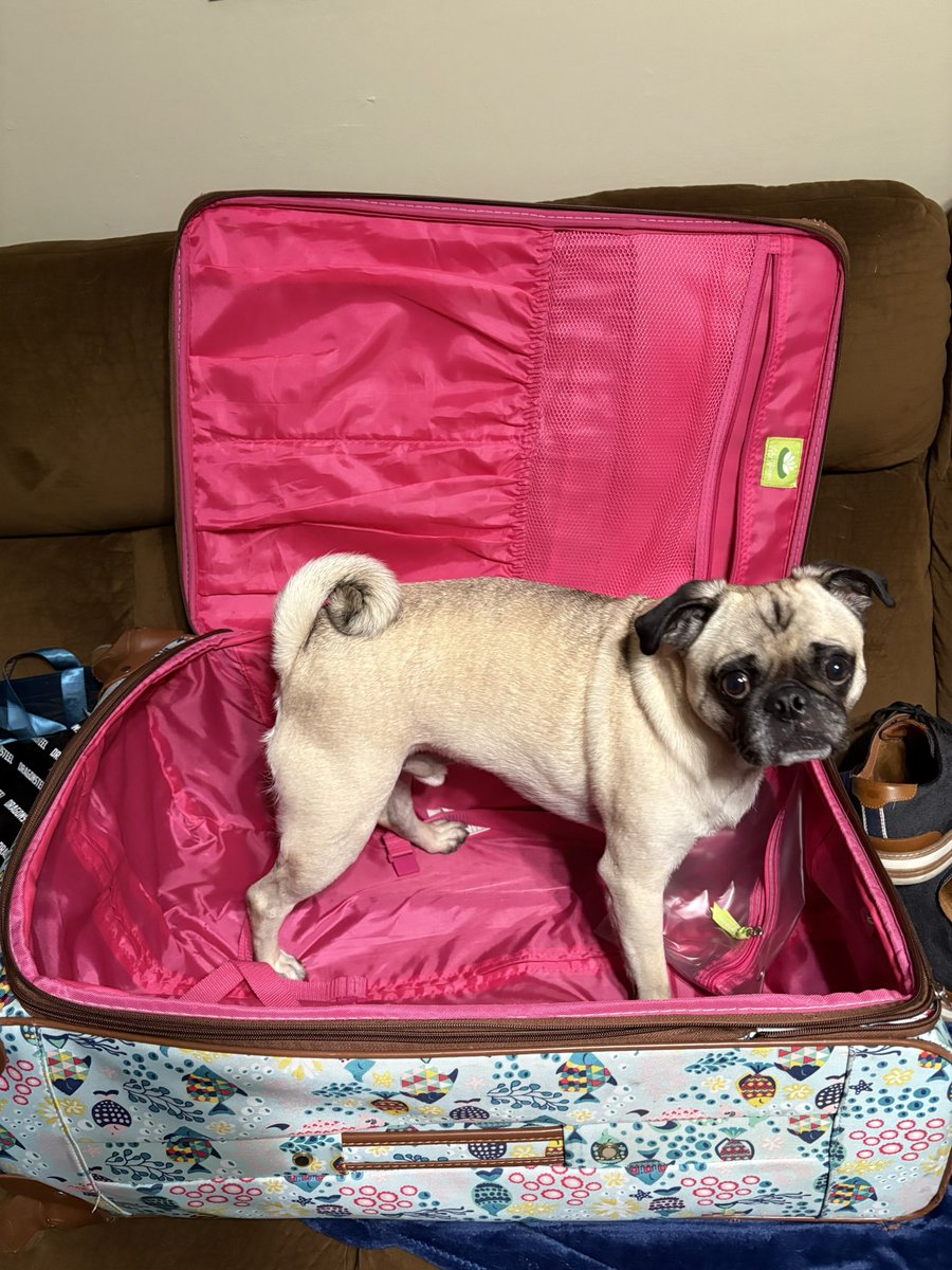 Brian Ballance tweet media