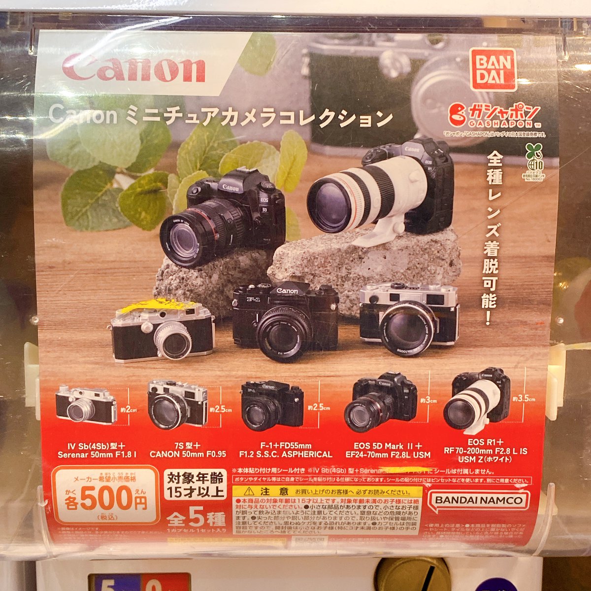 ✨😻【入荷情報】📷✨ ┉┉┉┉┉┉┉┉┉┉┉ ➀かわいいかわいい ね