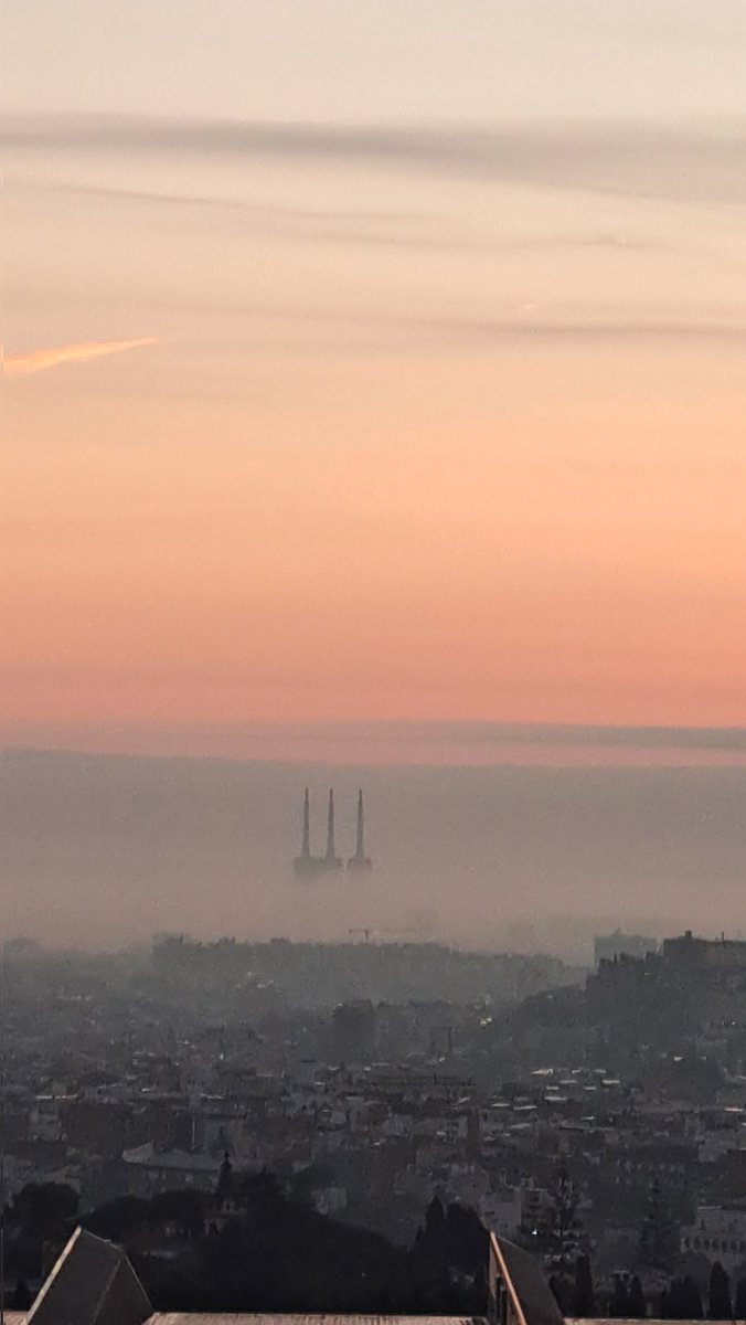 Albert Lecube tweet media