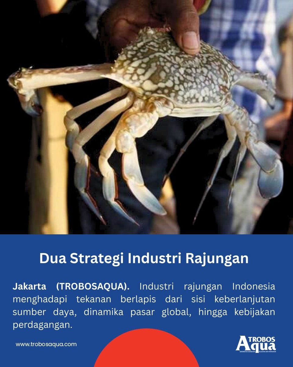 TROBOS Aqua tweet media